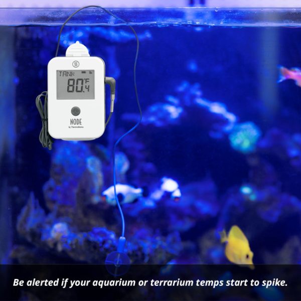 NODE® Wi-Fi Temperature and Temperature/Humidity Monitor - Image 5